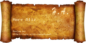 Herr Aliz névjegykártya